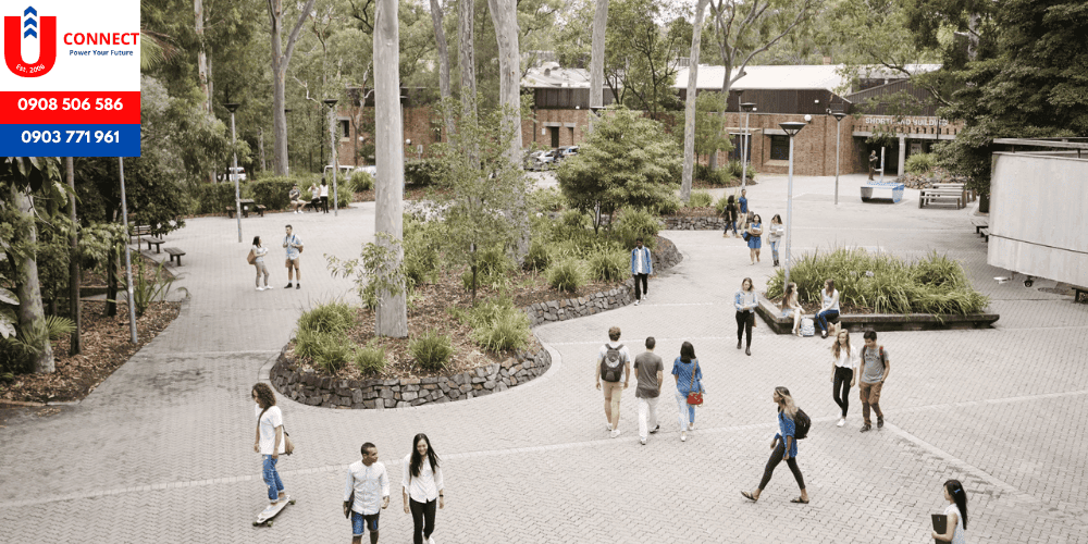 The University of Newcastle